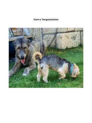 cover image of Karin's Tiergeschichten